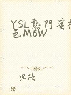 YSL热门蜜桃色M6W