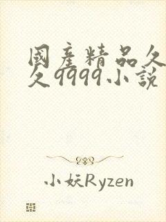 国产精品久久久久9999小说