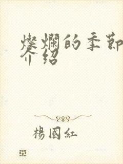 灿烂的季节剧情介绍