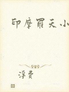 印摩罗天小说