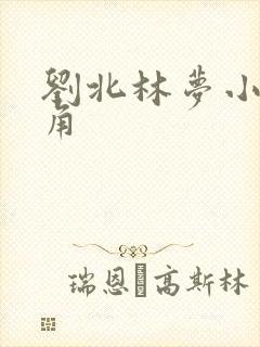 刘北林梦小说主角