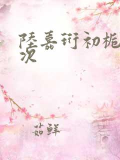 陆嘉珩初栀第一次