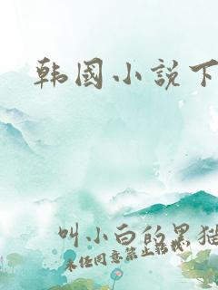 韩国小说下载