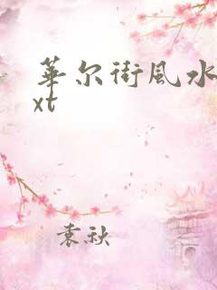 华尔街风水师txt