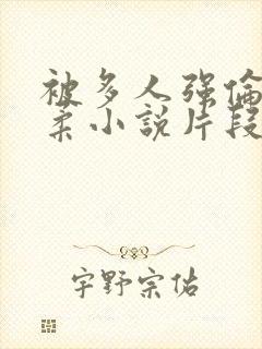 被多人强伦的小柔小说片段