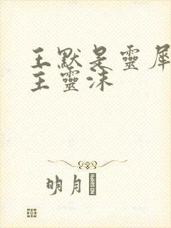 王默是灵犀阁公主灵沫