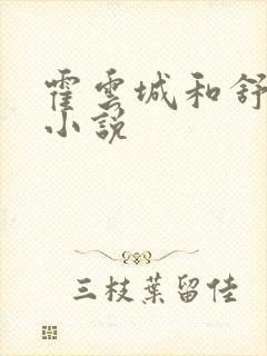 霍云城和舒情的小说