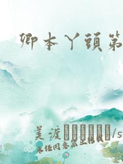 卿本丫头第二部