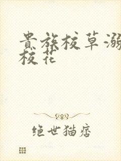 贵族校草溺爱拽校花