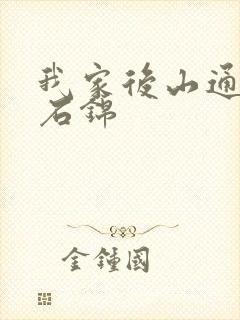 我家后山通仙界石锦