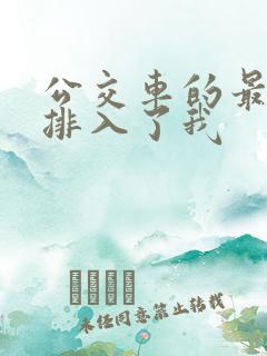 公交车的最后一排入了我