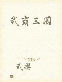 武霸三国
