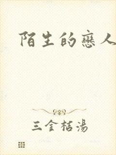 陌生的恋人小说