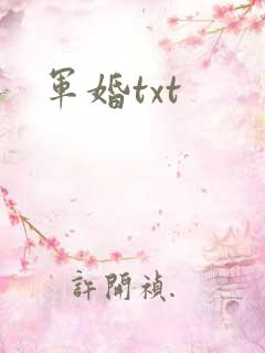 军婚txt