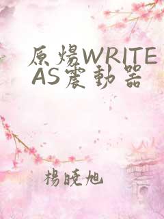 原炀WRITE AS震动器