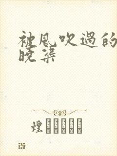 被风吹过的夏天晓渠