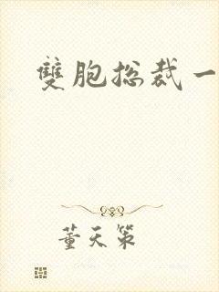 双胞总裁一个妻