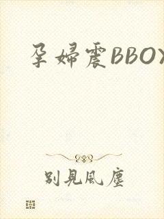 孕妇震BBOX