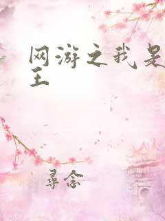 网游之我是海贼王