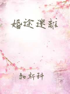 婚途迷离