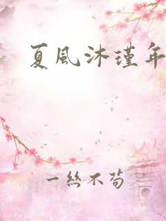 夏风沐瑾年
