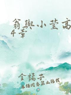 翁与小莹高潮24章