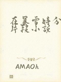 在暴雪时分高能片段小说