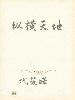 纵横天地