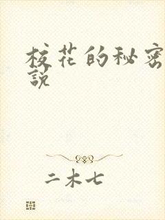 校花的秘密 小说