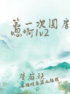 第一次圆房～h嗯啊1v2