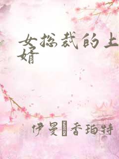 女总裁的上门女婿