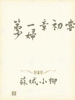 第一章初尝极品少妇