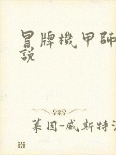 冒牌机甲师 小说