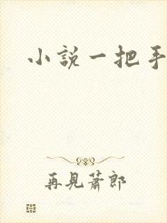 小说一把手