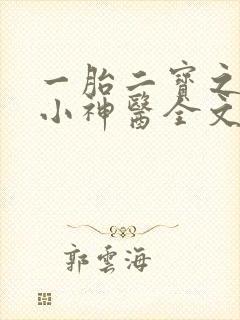 一胎二宝之弃妃小神医全文免费阅读