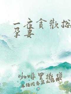 一夜贪欢总裁幸孕妻