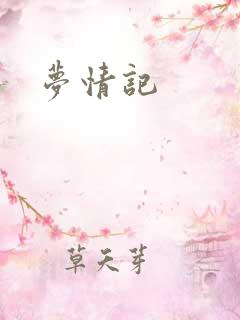 梦情记