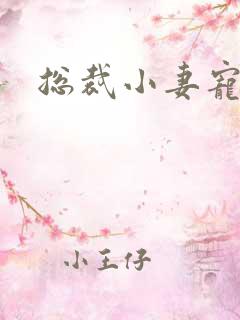 总裁小妻宠上天