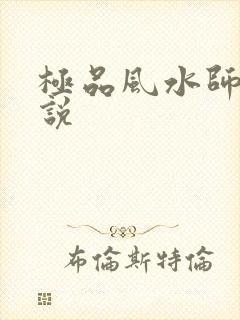 极品风水师 小说