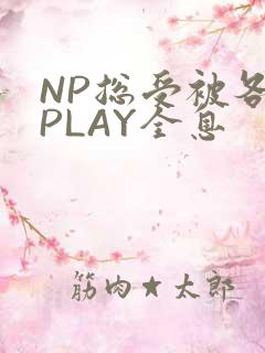 NP总受被各种PLAY全息