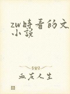zw时看的文案小说