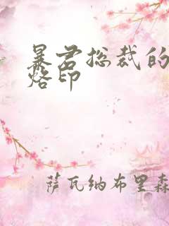 暴君总裁的狂烈烙印