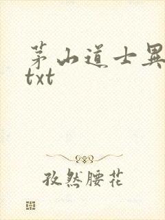 茅山道士异界游txt