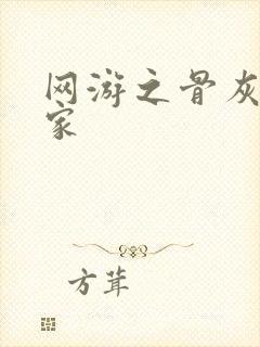 网游之骨灰级玩家