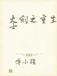 大剑之重生圣骑士