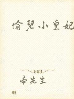 偷儿小皇妃
