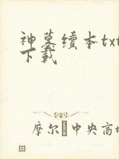 神墓续本txt下载