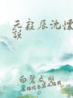 元毅辰沈怀妆小说