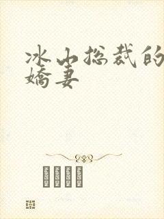 冰山总裁的掠爱娇妻