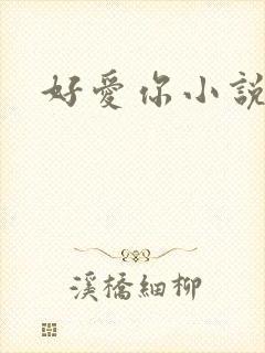 好爱你小说